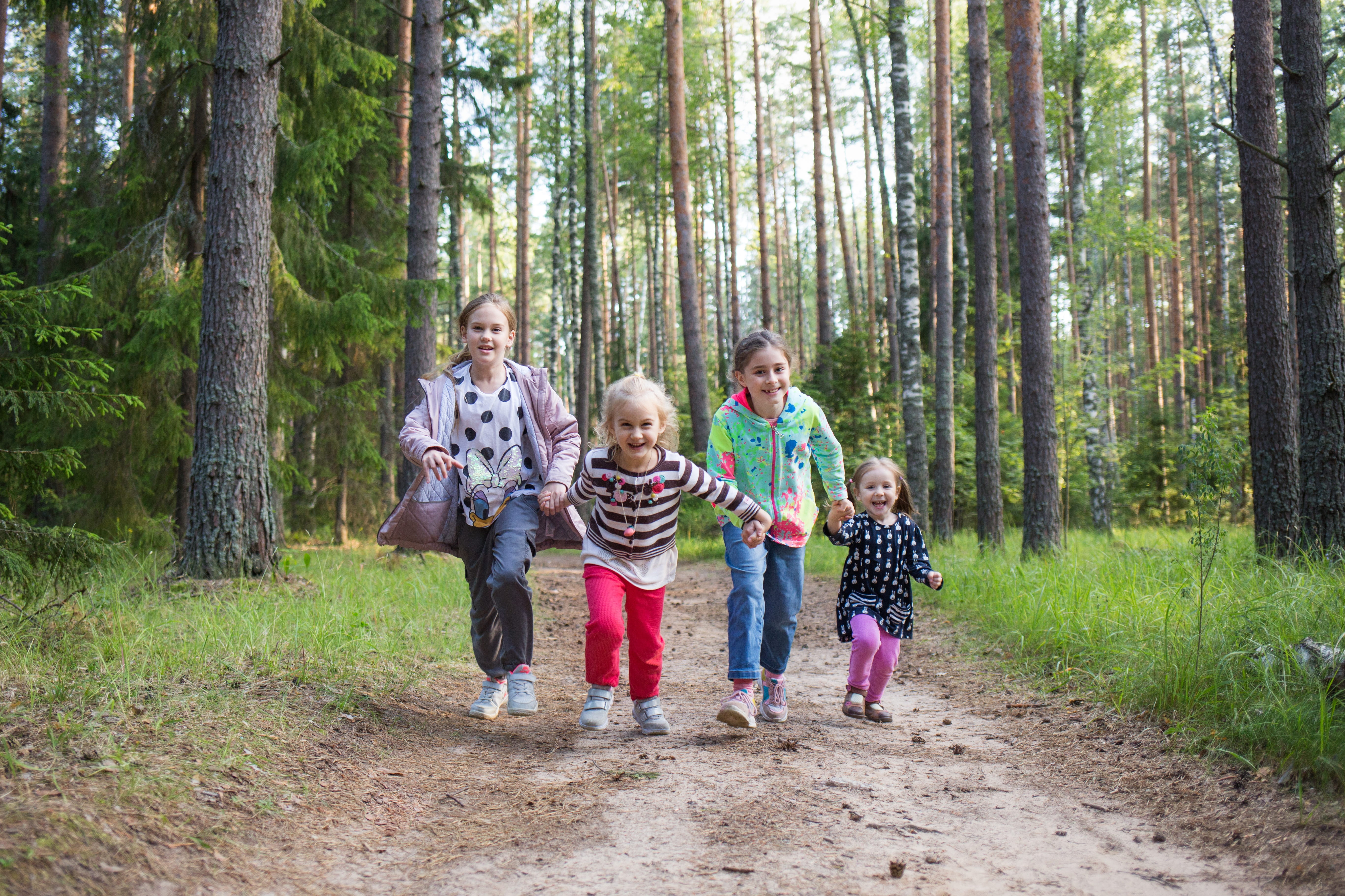 Abenteuer im Tannengrün: Die besten einfachen Wanderungen für Familien im Schwarzwald